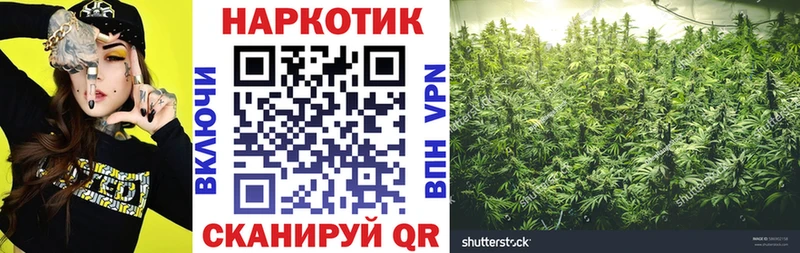 Купить наркоту Дубна Бошки Шишки  МЕФ  Alpha-PVP  ГАШ  COCAIN 