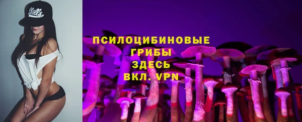 apvp Володарск