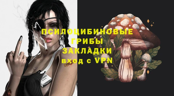 2c-b Волосово