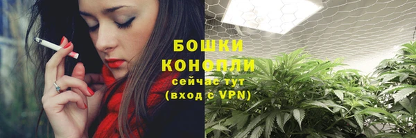 стаф Верея