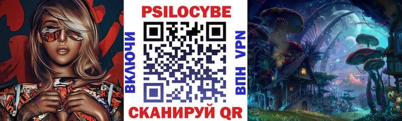 продажа наркотиков  KRAKEN сайт  Псилоцибиновые грибы Psilocybe  Дубна 